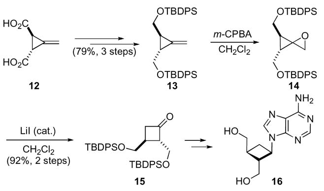 Scheme 5