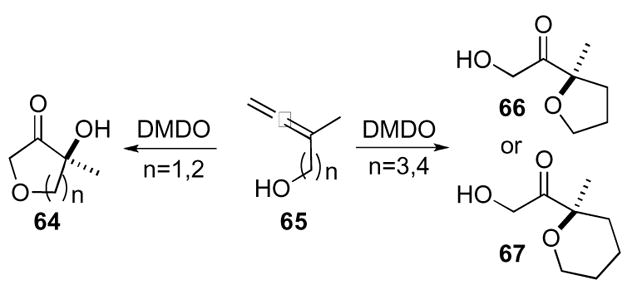 Scheme 19