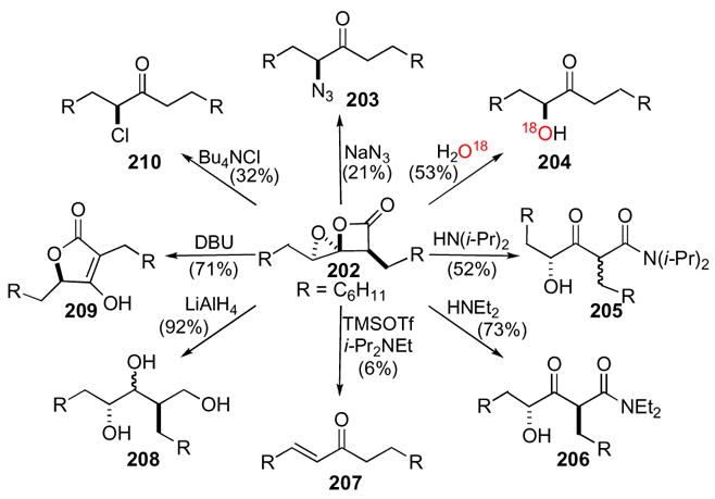 Scheme 55