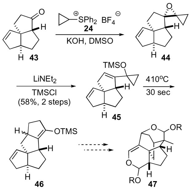 Scheme 13