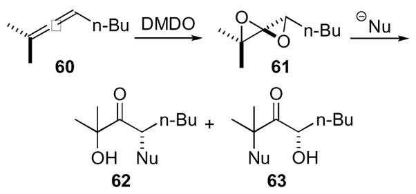 Scheme 18