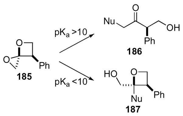 Scheme 51