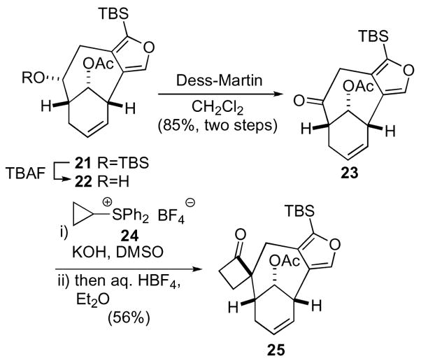 Scheme 7