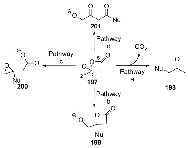 Scheme 54