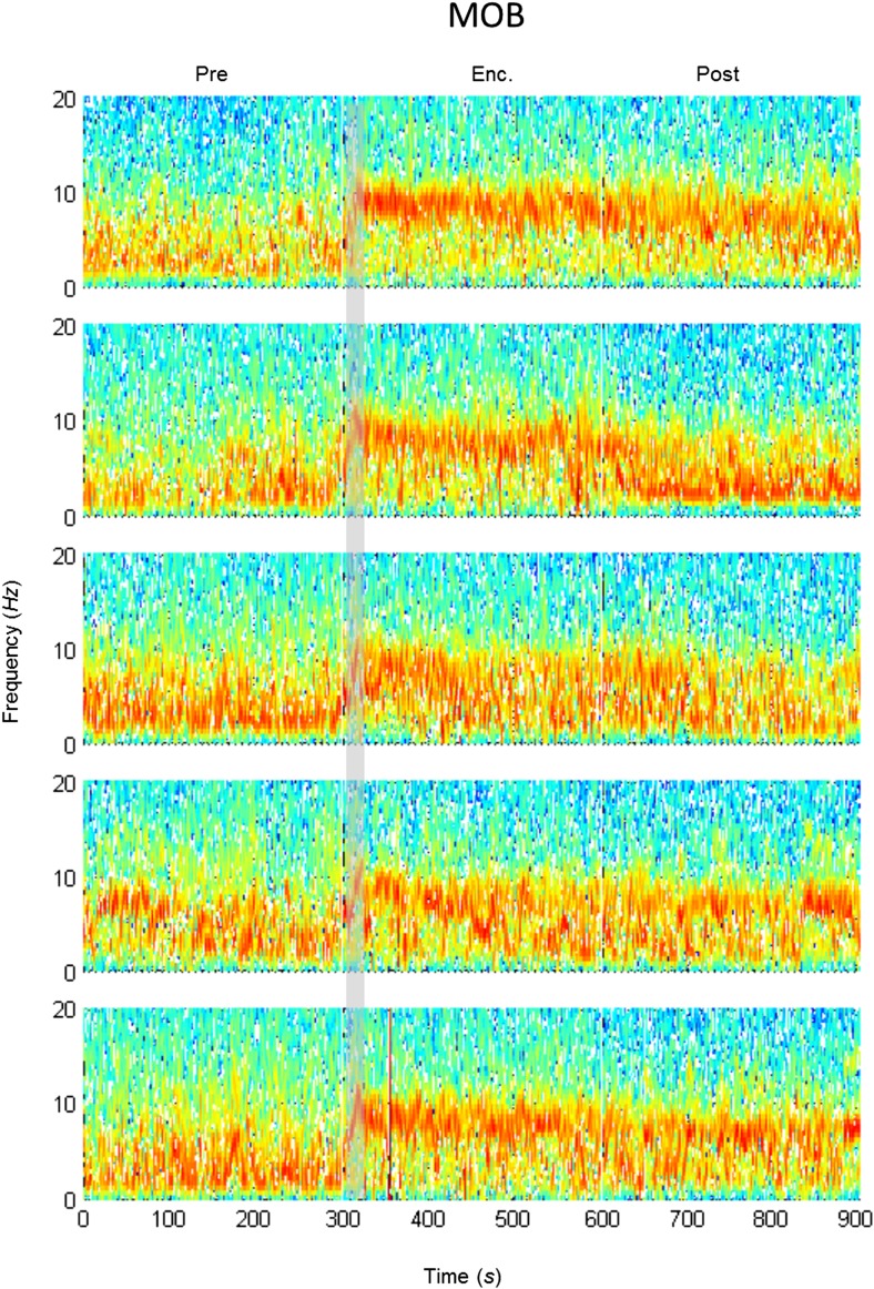 Figure 4—figure supplement 2.