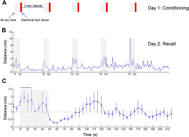 Figure 7—figure supplement 1.