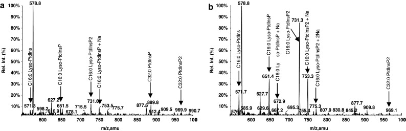 Fig. 8