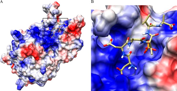 FIGURE 1.