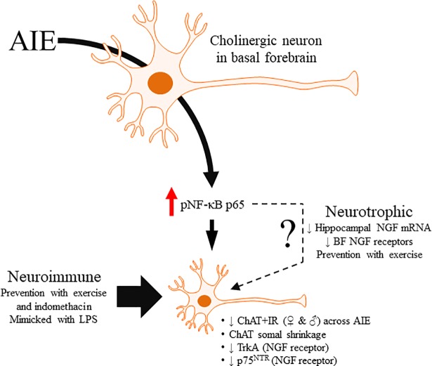 Fig 8