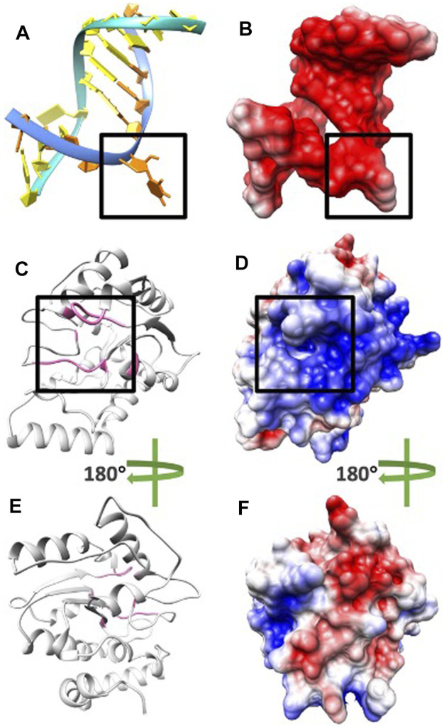 FIGURE 4