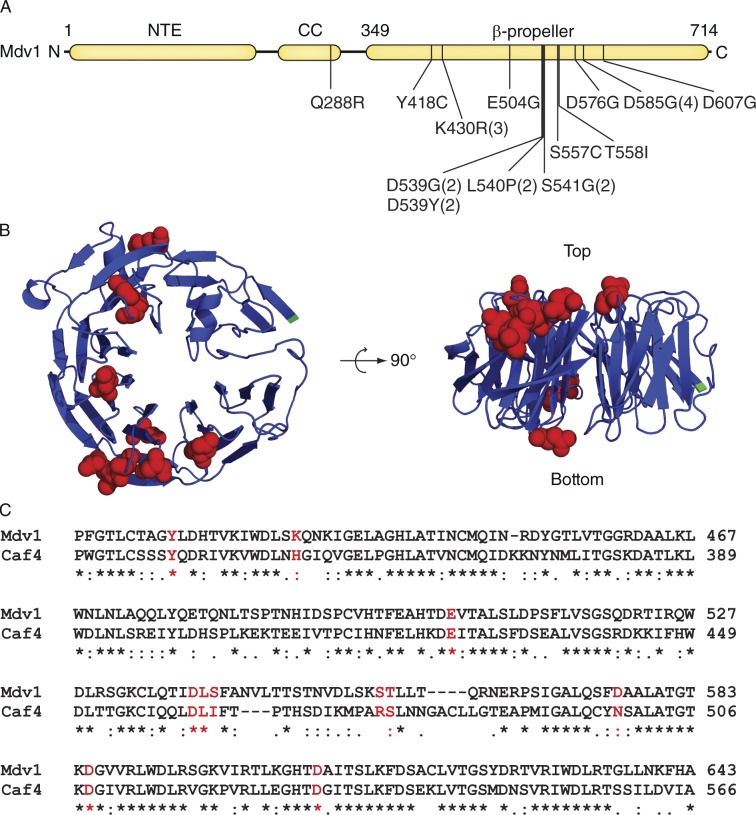 Figure 4.