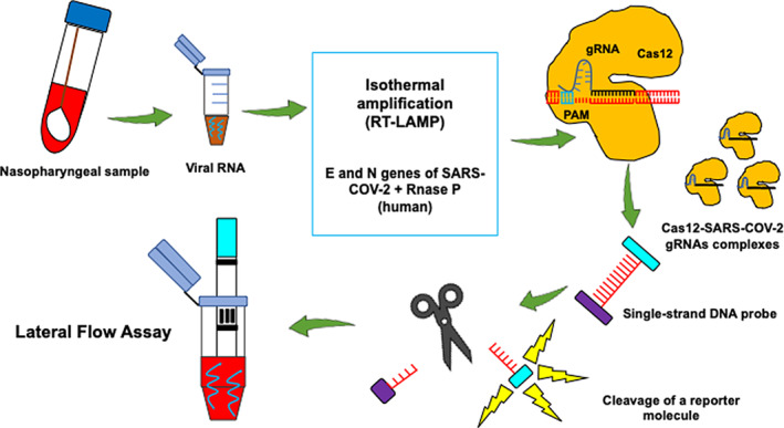 FIGURE 4