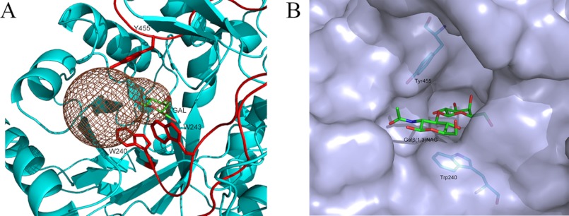 FIGURE 4.