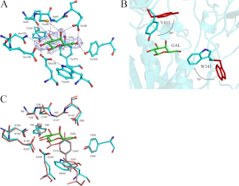 FIGURE 2.