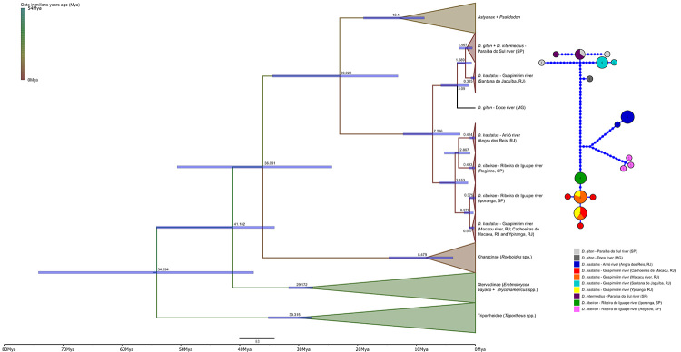 Figure 5 -