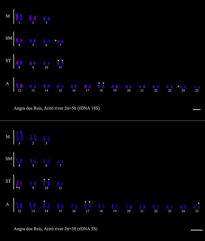 Figure 3 -