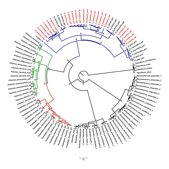 Figure 4 -