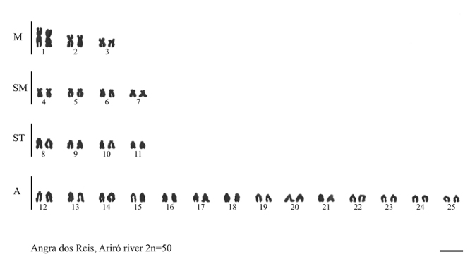 Figure 2 -