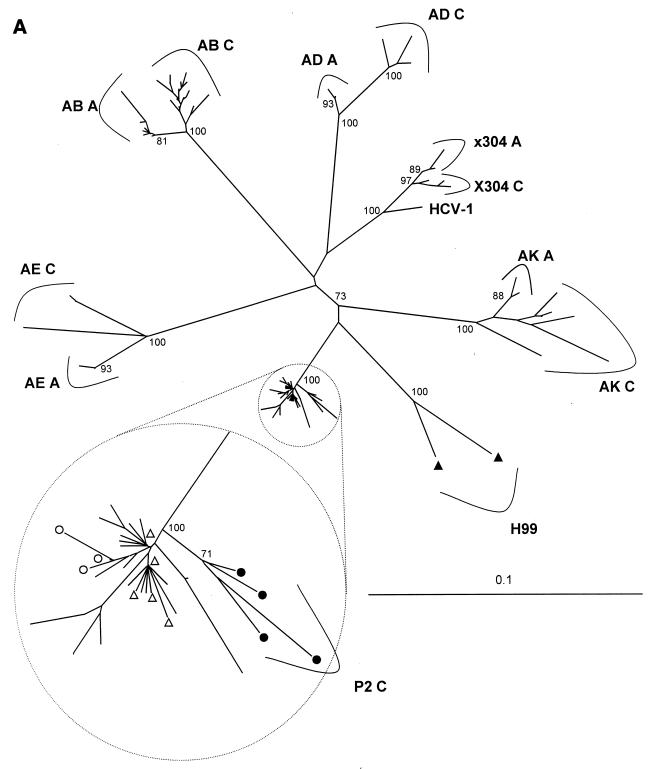 FIG. 3