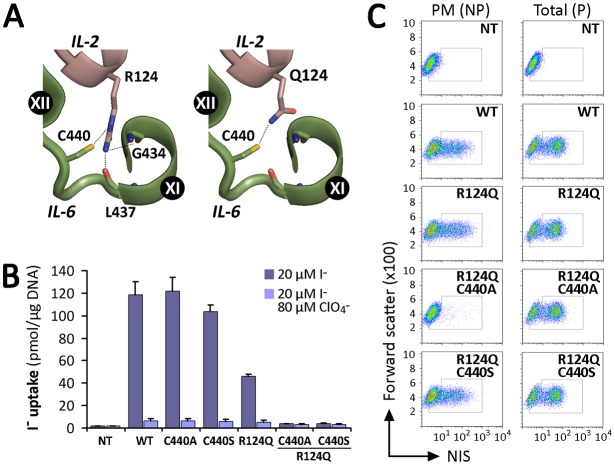 Fig. 7.