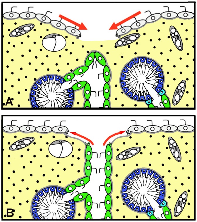 Fig 16