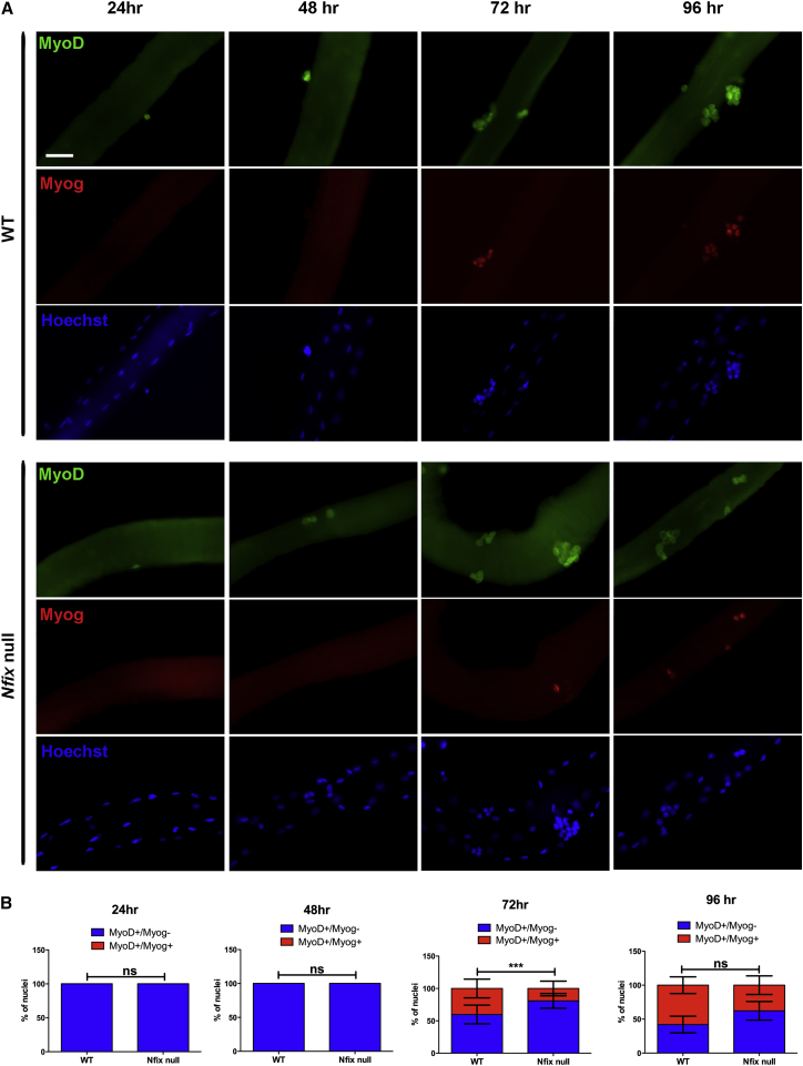 Figure 2