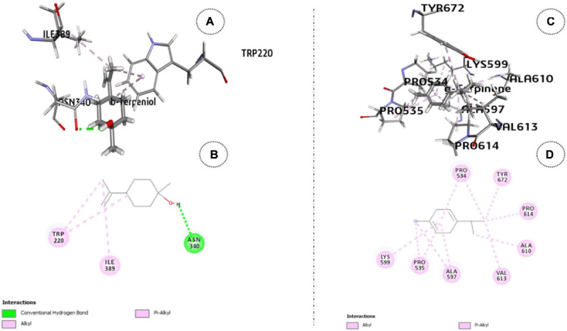 FIGURE 3