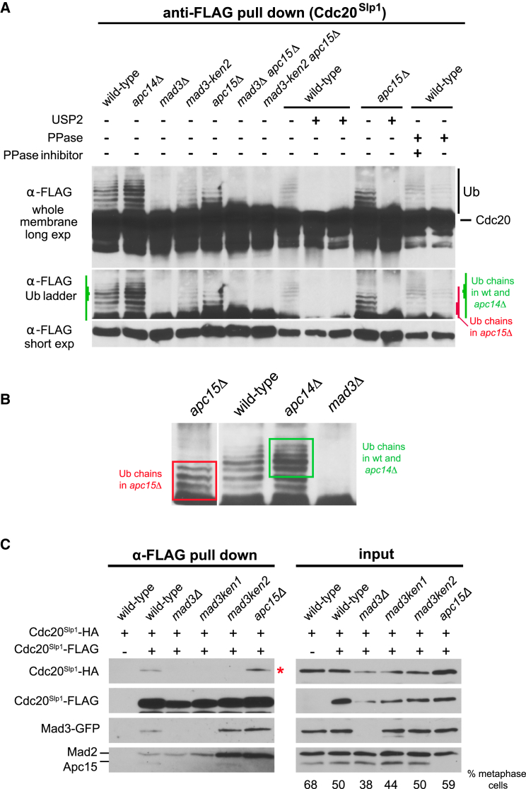 Figure 3