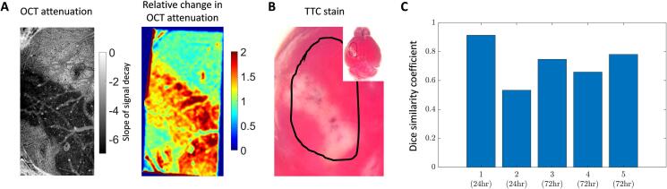 Fig. 4