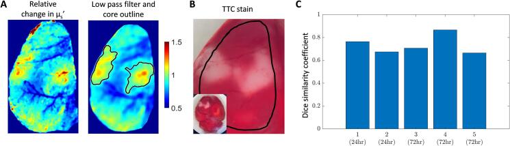 Fig. 7