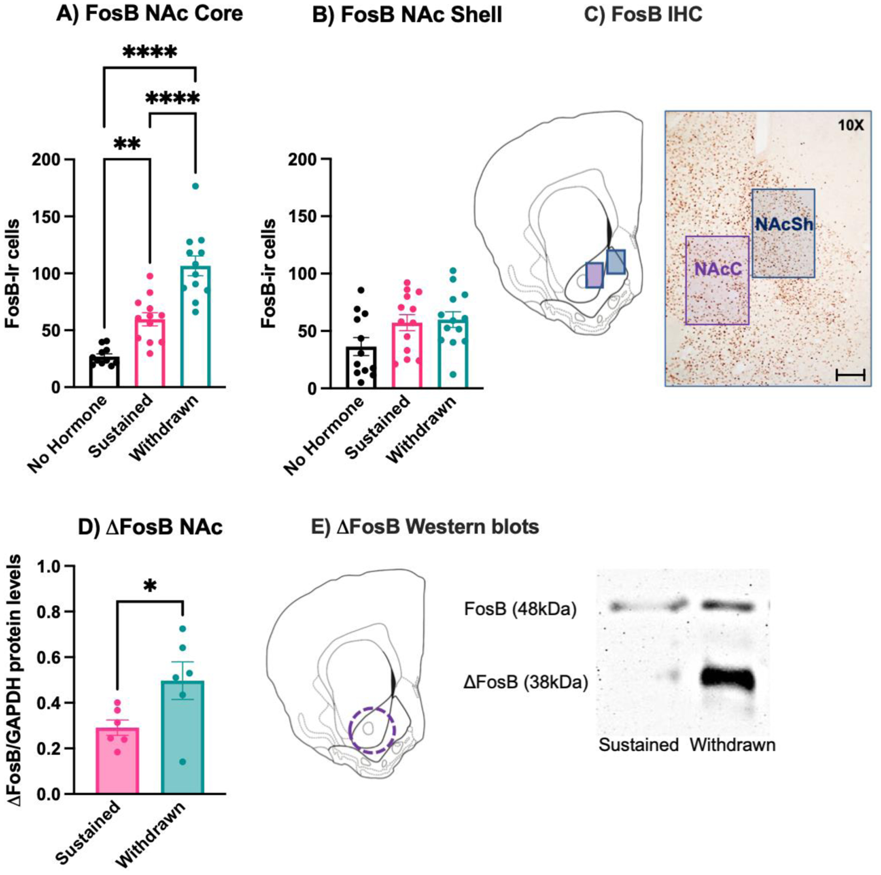 Figure 4: