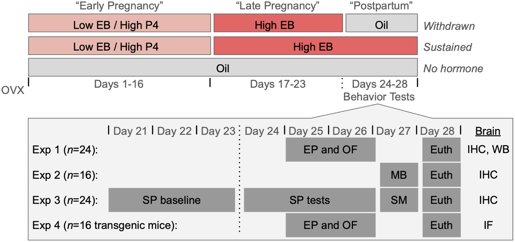 Figure 1: