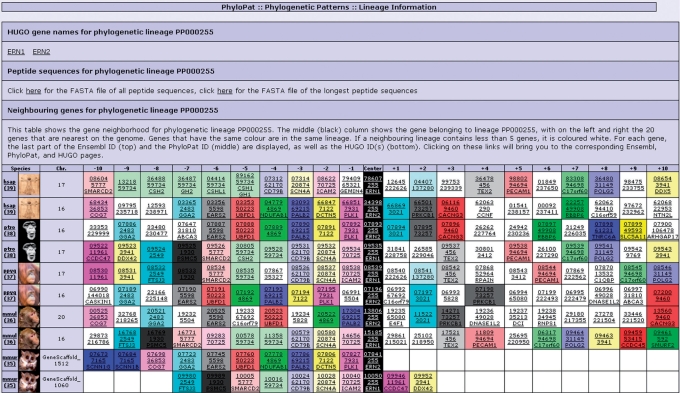 Figure 6.