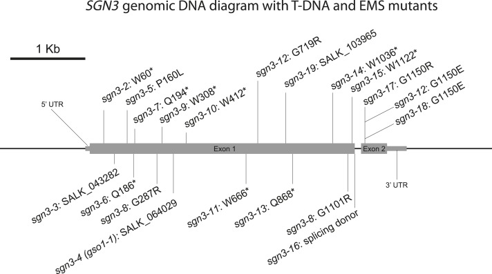 Figure 1—figure supplement 2.