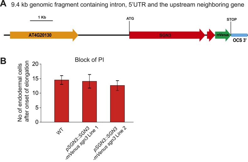 Figure 2—figure supplement 2.