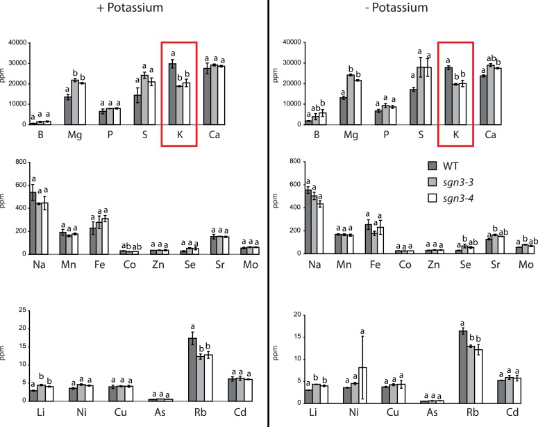 Figure 5—figure supplement 1.