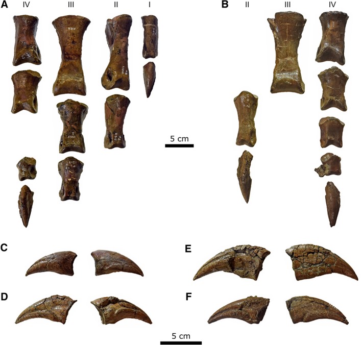 Figure 16