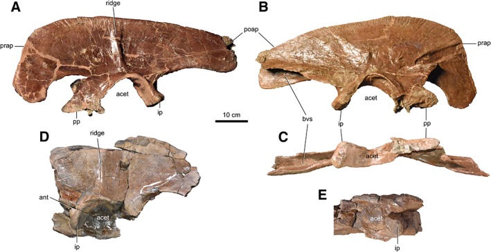 Figure 9