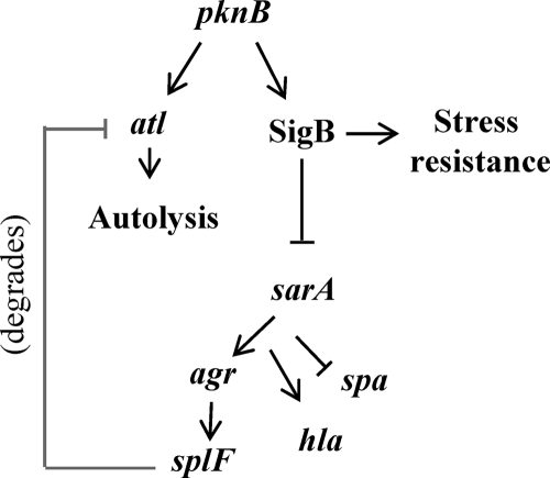 FIG. 8.