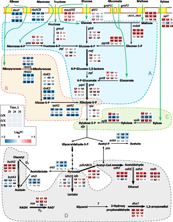 Fig. 4