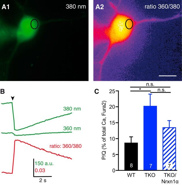 Figure 5.