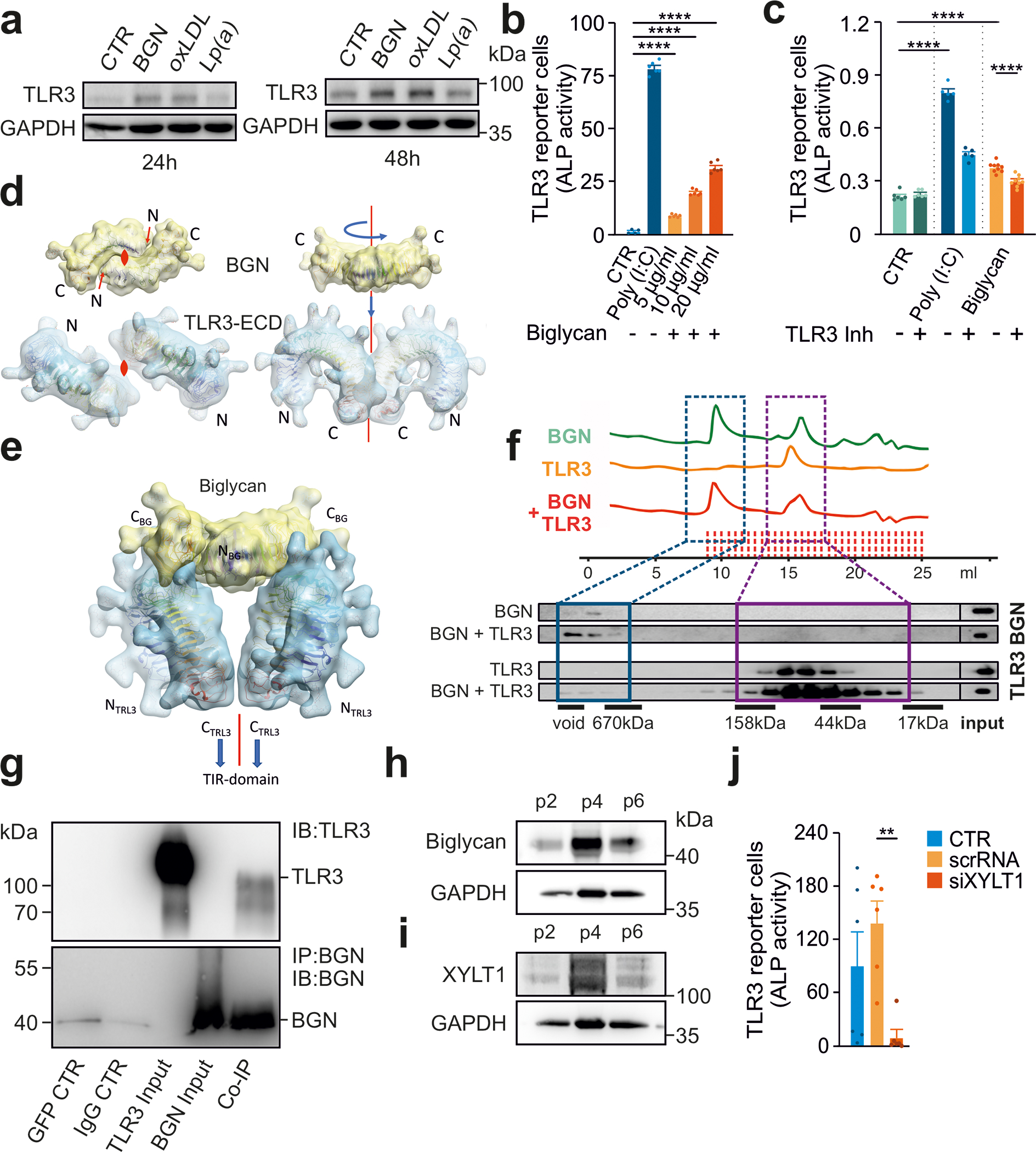 Figure 4: