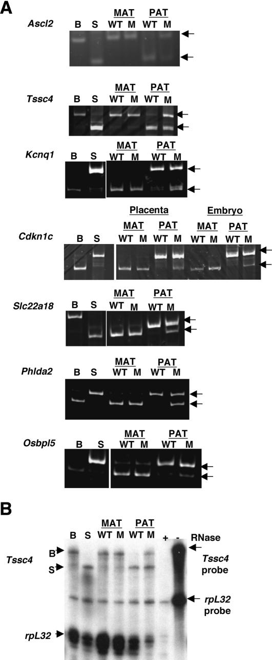 Figure 6.