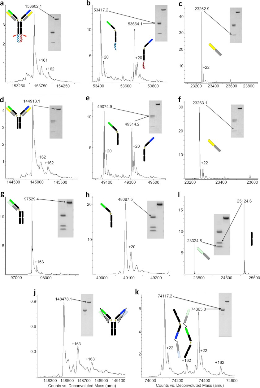 FIGURE 2.