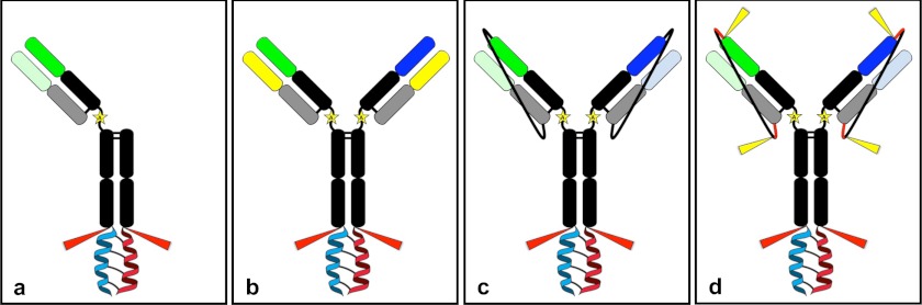 FIGURE 1.