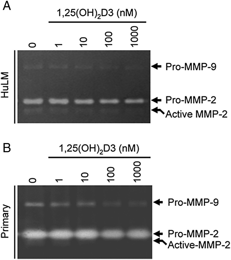 Figure 6