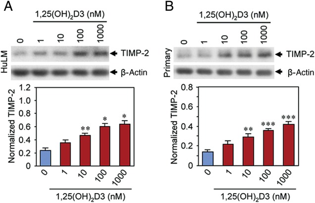 Figure 5