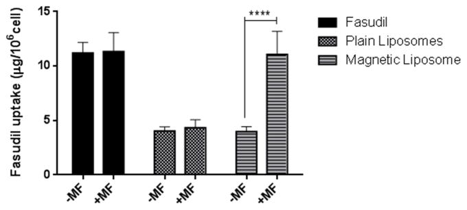 Fig. 10