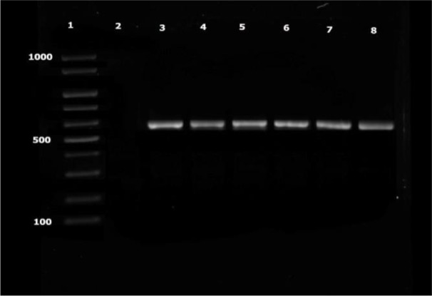 Fig. 1: