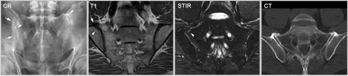 Fig. 5